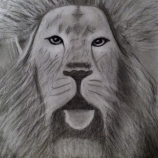 El rey león