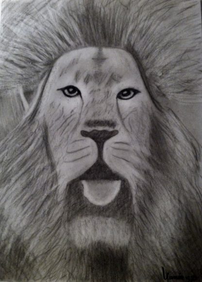 El rey león